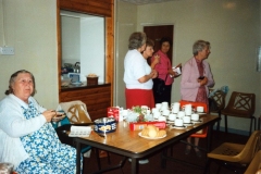 1991 Flower and Vegetable Show held by Bartons and District Horticultural Society.