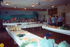1993 Flower Show.