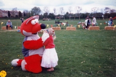 May 1996 Playing Fields Play Area.