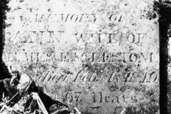 IN MEMORY OF ANN WIFE OF JAMES EAGLESTONE died Feby 4th 1849.