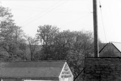 1957 Elm Grove Farm. Outbuildings from the north.