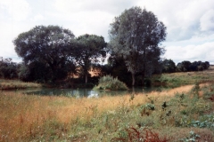 Summer 1992 Pond near Hollier's Barn.