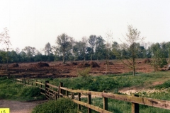 Summer 1988 Worton woods.