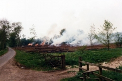 Summer 1988 Worton woods.
