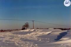 Fields south of South Street.