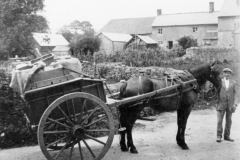 1920s.