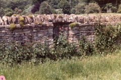 1985 Remains of cottage in wall opposite the Old Malt House.