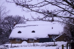 January 2010: Snow Horseshoe Cottage.
