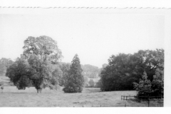 P0056