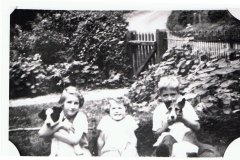 Whistlow. From left: Helen Wood (now Mrs. Smith) (holding Sooty the dog), Muriel Wood) (now Mrs. Standen) and David Eaglestone (holding Betsy the dog), at home.