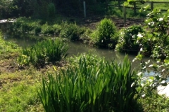 Life-goes-on-River-Dorn-flows-as-normal