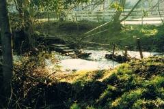 January 1987. At the start of Mill  Street, field north of South Street.
