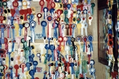 1986 Barton Abbey - stable block. Rosettes won by Mrs. Joan Fleming.