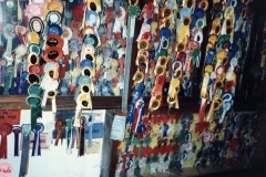 1986 Barton Abbey - stable block. Rosettes won by Mrs. Joan Fleming.
