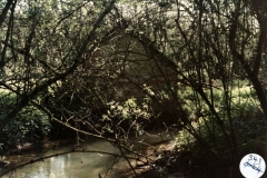 1985 Disused pump house, SP456242.
