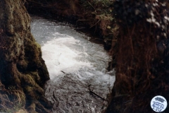 1985 Disused pump house, SP456242.