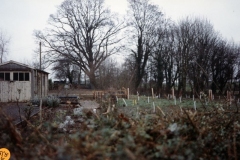 1992 Whistlow - site of house demolished in 1992. The garage of Showell View.