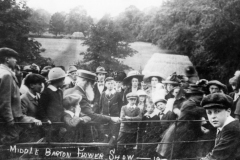 Middle Barton Flower Show.