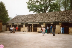 8 May 1988 Barton Abbey Gardens open day.