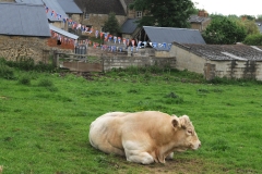 2012 June 2-5 The Queen's Diamond Jubilee celebrations  - Middle Barton Scarecrow competition.