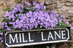 2012 June 2-5 The Queen's Diamond Jubilee celebrations  - Middle Barton Parade and Party.