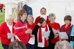 2012 June 2-5 The Queen's Diamond Jubilee celebrations  - Middle Barton Parade and Party.